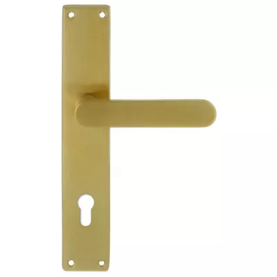 Дверная ручка Extreza Hi-tech "JEMMA" 116 на планке PL13 матовая латунь PVD F08 под цилиндровый механизм CYL