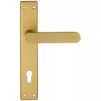 Дверная ручка Extreza Hi-tech "JEMMA" 116 на планке PL13 матовая латунь F02 под цилиндровый механизм CYL