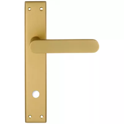 Дверная ручка Extreza Hi-tech "JEMMA" 116 на планке PL13 матовая латунь F02 сантехническая завертка WC