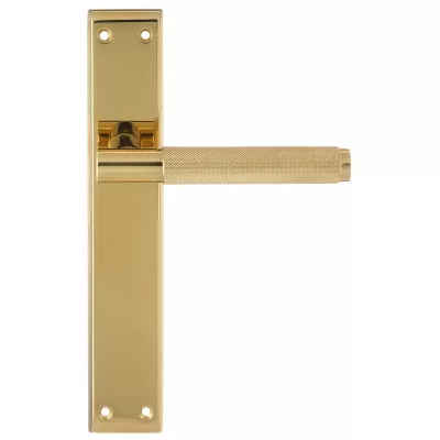 Дверная ручка на планке Extreza TUBA-PL13-F07-F06 (TUBA 126) матовая латунь глянец (планка F06)