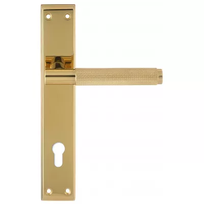 Дверная ручка на планке Extreza TUBA-PL13-CYL85-F07-F06 (TUBA 126) матовая латунь глянец (планка F06)