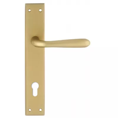 Дверная ручка на планке Extreza Hi-Tech "ALDO" 331 PL13-CYL-85 матовая латунь F02