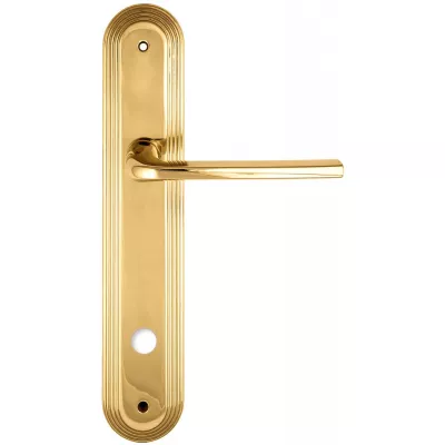 Дверная ручка Extreza TERNI (Терни) 320 на планке PL05 WC полированная латунь F01