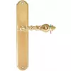 Дверная ручка Extreza EVITA (Эвита) 301 на планке PL01 полированная латунь F01 Ручка под цилиндровый механизм CYL