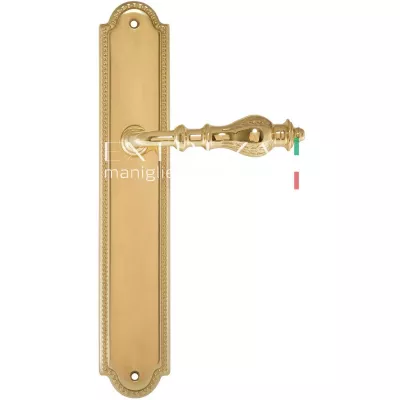 Дверная ручка Extreza EVITA (Эвита) 301 на планке PL03 полированная латунь F01 под цилиндровый механизм CYL