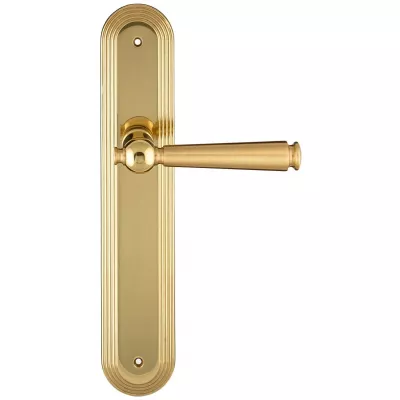 Дверная ручка Extreza ANNET 329 на планке PL05 полированная латунь F01 без доп. запирания PASS