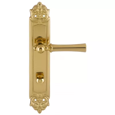 Дверная ручка Extreza DEZI (Дези) 309 на планке PL02 WC полированная латунь F01