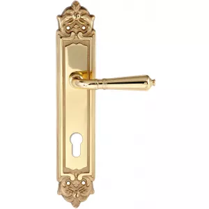 Дверная ручка PETRA (Петра) 304 на планке PL02 CYL полированная латунь F01