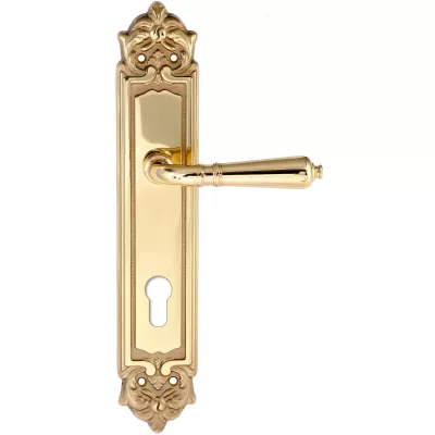 Дверная ручка Extreza PETRA (Петра) 304 на планке PL02 CYL полированная латунь F01