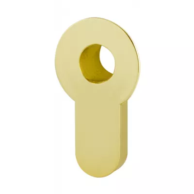 Вставка Armadillo (Армадилло) под шток ET.TANG.UNI (CYLINDER) GP-2 золото