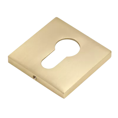 Накладки под евроцилиндр BUSSARE CANTO B0-40 W.GOLD Валлийское золото