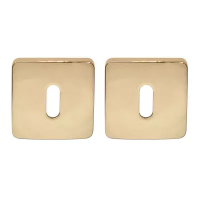 Накладка Colombo PT 13 BB под ключ буратино KEY полированная латунь RoboquattroS