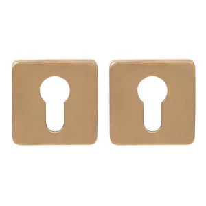 Накладка Colombo PT 13 под цилиндр CYL матовый винтаж RoboquattroS