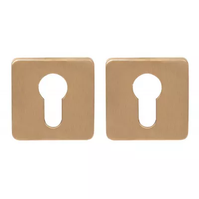 Накладка Colombo PT 13 под цилиндр CYL матовый винтаж RoboquattroS