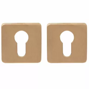 Накладка Colombo PT 13 под цилиндр CYL матовый винтаж RoboquattroS