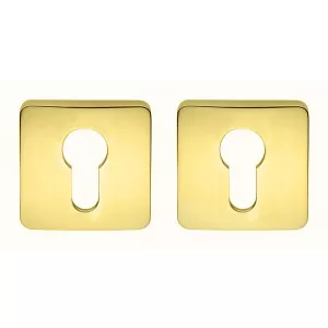 Накладка Colombo PT 13 полированная латунь под цилиндр CYL RoboquattroS