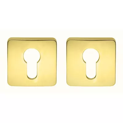 Накладка Colombo PT 13 полированная латунь под цилиндр CYL RoboquattroS