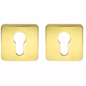 Накладка Colombo PT 13 полированная латунь под цилиндр CYL RoboquattroS