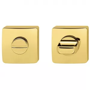 Накладка Colombo PT 19 BZG сантехническая WC полированная латунь RoboquattroS