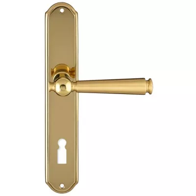 Дверная ручка Extreza ANNET 329 на планке PL01 полированная латунь F01 под кабинетный ключ KEY