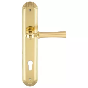 Дверная ручка DEZI (Дези) 309 на планке PL05 CYL полированная латунь F01