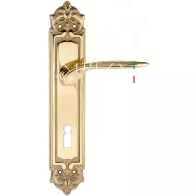 Дверная ручка Extreza CALIPSO (Калипсо) 311 на планке PL02 полированная латунь F01 под кабинетный ключ KEY