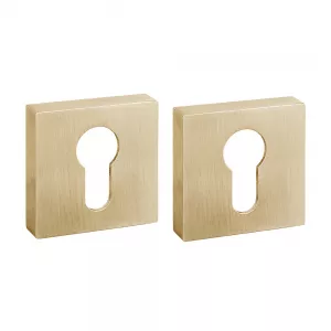 Накладка под цилиндр ET.K.DM51 (ET DM) SSG-39 сатинированное золото