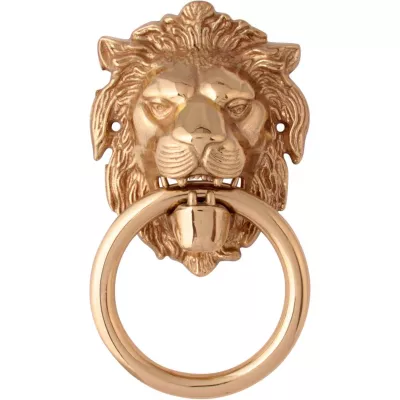 Ручки гонги MELODIA Ручка - гонг на входную дверь Leone 603 190x110 мм Полированная латунь