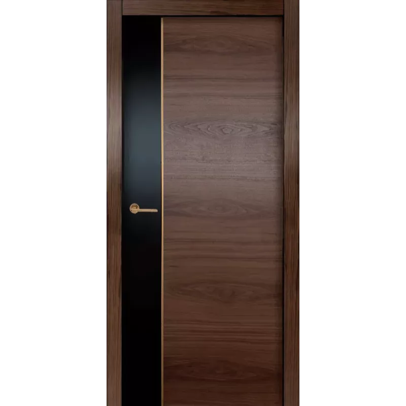 Дверь Офрам НОМА глухая, шпон американский орех/RAL 9005, вставка золото