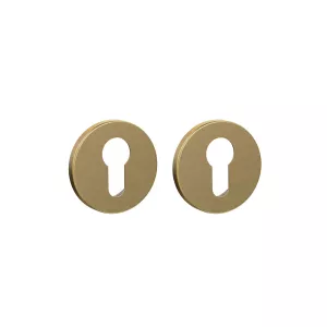 Накладка под цилиндр ET.R.ARC.R52 SSG-39 сатин.золото