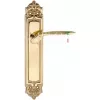 Дверная ручка Extreza CALIPSO (Калипсо) 311 на планке PL02 полированная латунь F01 под кабинетный ключ KEY
