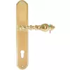 Дверная ручка Extreza EVITA (Эвита) 301 на планке PL01 полированная латунь F01 Ручка под цилиндровый механизм CYL