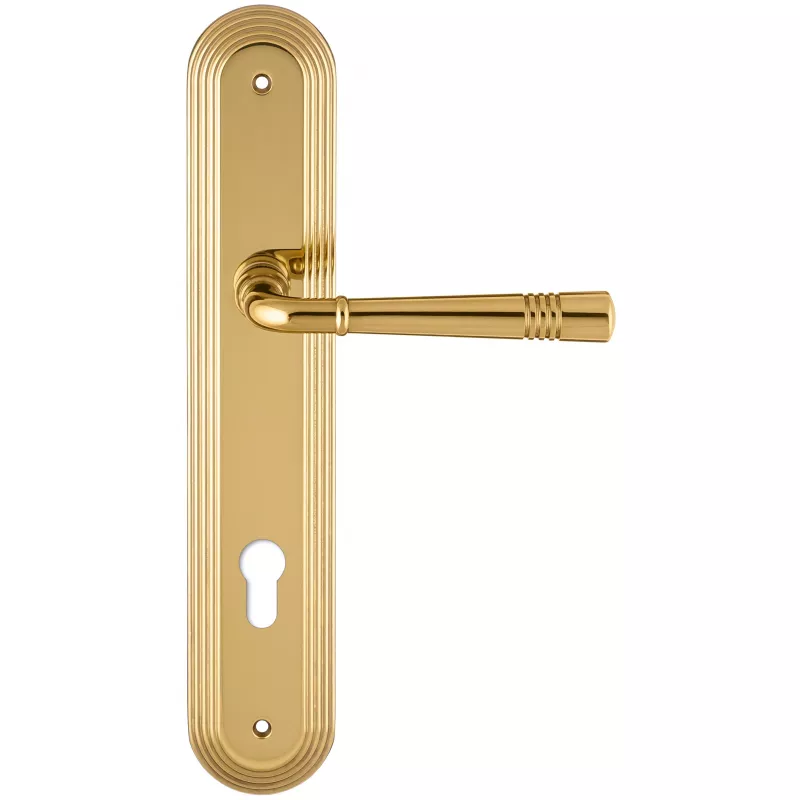 Дверная ручка на планке Extreza 