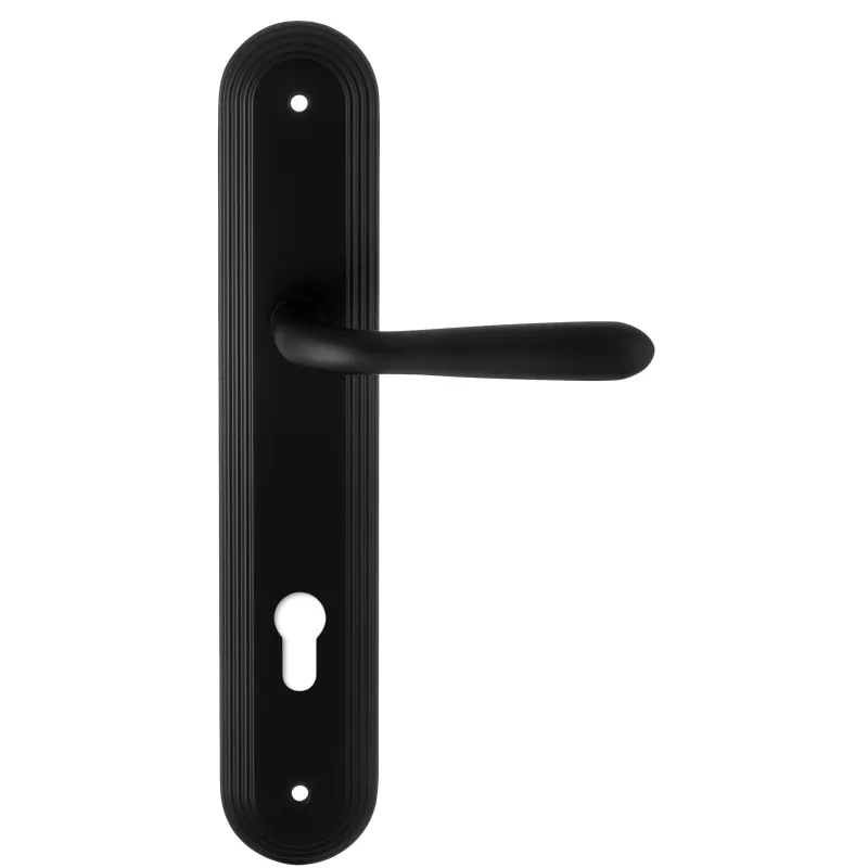 Дверная ручка на планке Extreza 