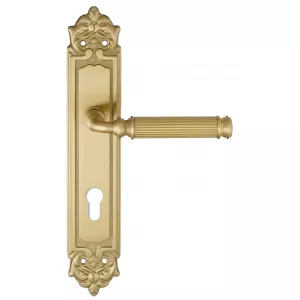 Дверная ручка на планке Extreza BENITO-PL02-CYL-85-F07 (BENITO 307) матовая латунь глянец