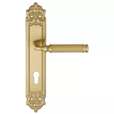 Дверная ручка на планке Extreza BENITO-PL02-CYL-85-F07 (BENITO 307) матовая латунь глянец