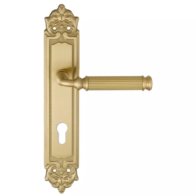 Дверная ручка на планке Extreza BENITO-PL02-CYL-85-F07 (BENITO 307) матовая латунь глянец