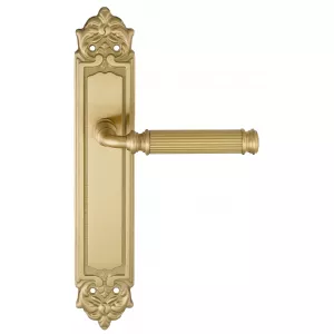 Дверная ручка на планке Extreza BENITO-PL02-F07 (BENITO 307) матовая латунь глянец