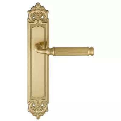 Дверная ручка на планке Extreza BENITO-PL02-F07 (BENITO 307) матовая латунь глянец