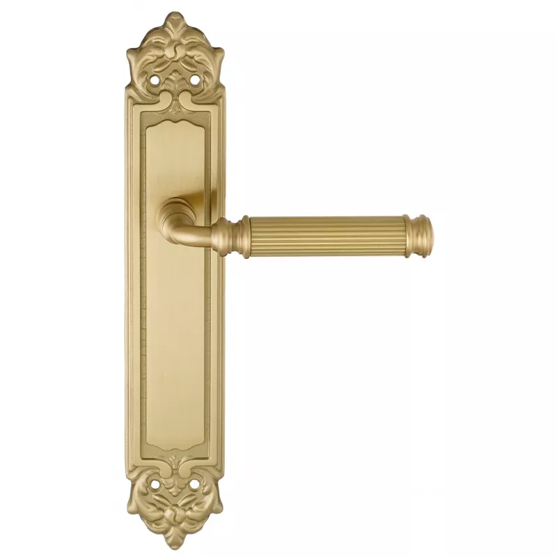 Дверная ручка на планке Extreza BENITO-PL02-F07 (BENITO 307) матовая латунь глянец