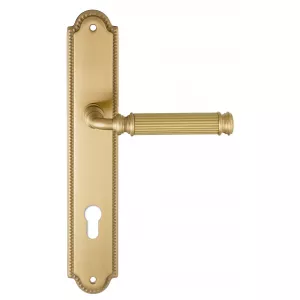 Дверная ручка на планке Extreza BENITO-PL03-CYL-85-F07 (BENITO 307) матовая латунь глянец