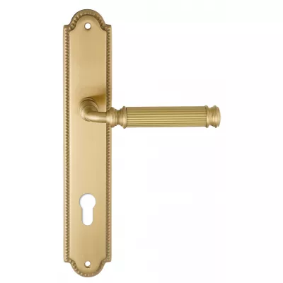 Дверная ручка на планке Extreza BENITO-PL03-CYL-85-F07 (BENITO 307) матовая латунь глянец