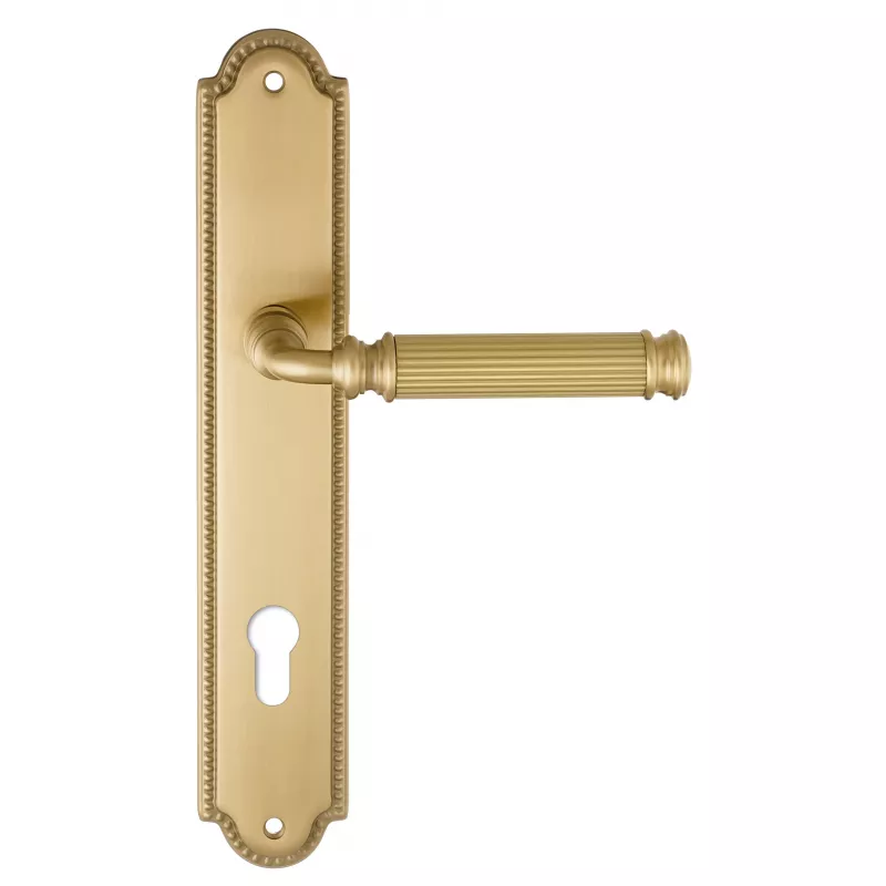 Дверная ручка на планке Extreza BENITO-PL03-CYL-85-F07 (BENITO 307) матовая латунь глянец