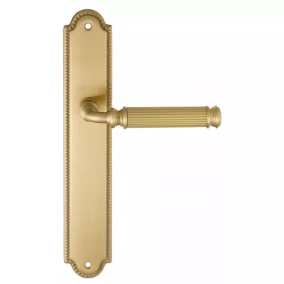 Дверная ручка на планке Extreza BENITO-PL03-F07 (BENITO 307) матовая латунь глянец