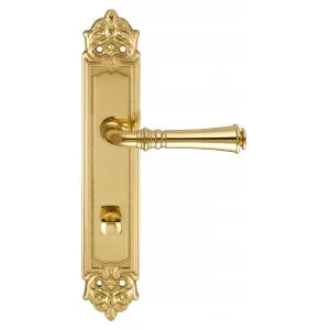 Дверная ручка на планке Extreza CANNA-PL02-WC-96-F01 (CANNA 327) полированная латунь