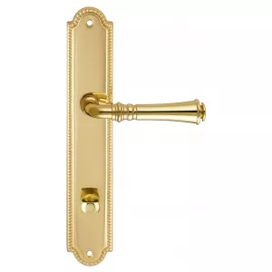 Дверная ручка на планке Extreza CANNA-PL03-WC-96-F01 (CANNA 327) полированная латунь