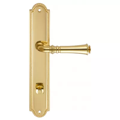 Дверная ручка на планке Extreza CANNA-PL03-WC-96-F01 (CANNA 327) полированная латунь