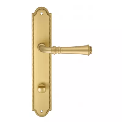 Дверная ручка на планке Extreza 