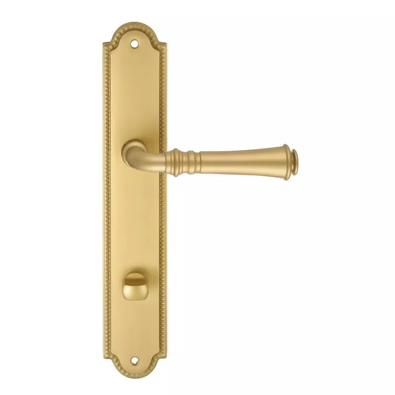 Дверная ручка на планке Extreza 