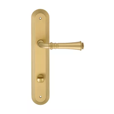 Дверная ручка на планке Extreza 